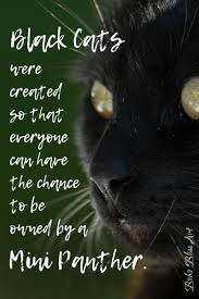  Quote Pertaining To Black 猫