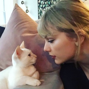 TAYLOR SWIFT AND WHITE CATS