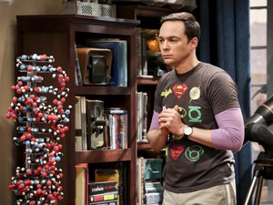 The Big Bang Theory ~ 12x24 "The Stockholm Syndrome" (Series Finale)
