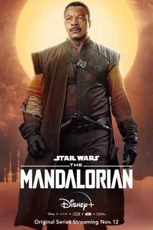  The Mandalorian - Promotional Character Poster