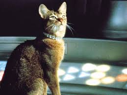  1978 디즈니 Film, The Cat From Outer Spacr