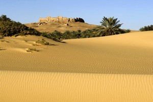  Kharga Oasis, Egypt