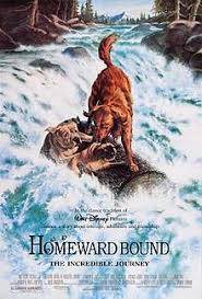  Movie Poster 1993 디즈니 Film, Homeward Bound: The Incredible Journey