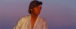  Skywalker. Still looking to the horizon (1977 - 2017)