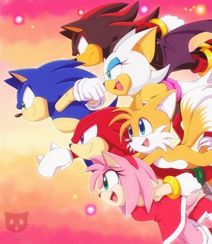 Sonic X Những người bạn