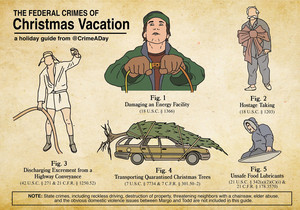  The Federal Crimes of 크리스마스 Vacation