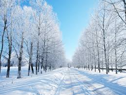  Winter Pathway