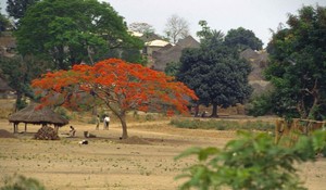  Dabola, Guinea
