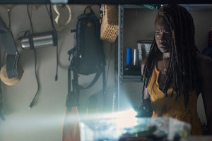  10x13 ~ What We Become ~ Michonne
