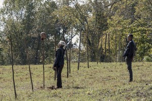  10x14 ~ Look at the Flowers ~ Carol and Negan