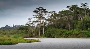  Akanda National Park, Libreville, Gabon