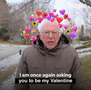  Bernie Sanders - Valentine's giorno