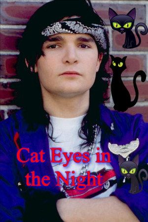 Cat Eyes in the Night