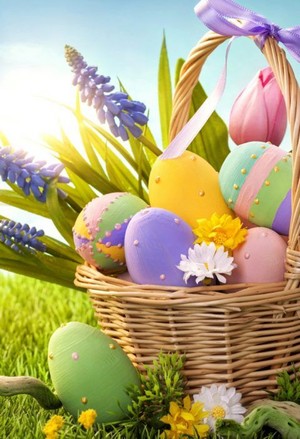  Frohe Ostern für dich und Sean🥚🐰🍫🐤🌸