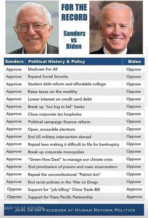  Sanders vs. Biden