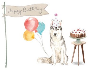  Siberian Husky Birthday Card