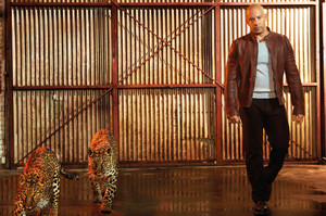  Vin Diesel - Prestige Photoshoot - 2013