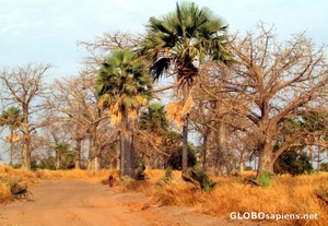  Wassu, Gambia