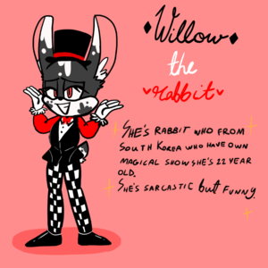  Willow the rabbit
