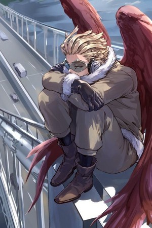  *Wing Hero: Hawks*