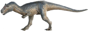  Allosaurus