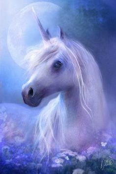 Beautiful Unicorns 💛💐