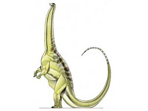  Brontosaurus