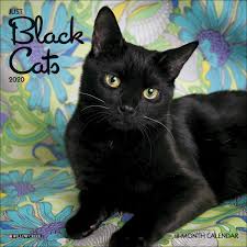 Calendar Pertaining To Black Cats