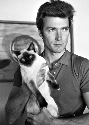 Clint Eastwood photographed at home by Larry Barbier Jr  -early 1960s 