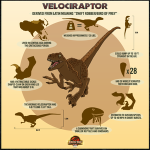  Dinosaur Facts