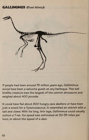 Dinosaur Hunter’s Guide Book