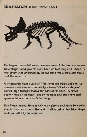 Dinosaur Hunter’s Guide Book