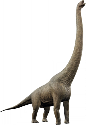  Dreadnoughtus