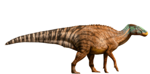  Edmontosaurus