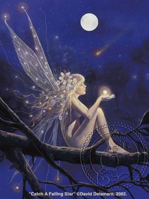  Fairy