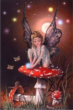  Fairy
