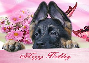  German Shepherd Birthday Card