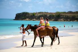  Horseback Riding In Antigua