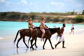 Horseback Riding In Antigua