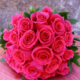  Hot 담홍색, 핑크 Roses!
