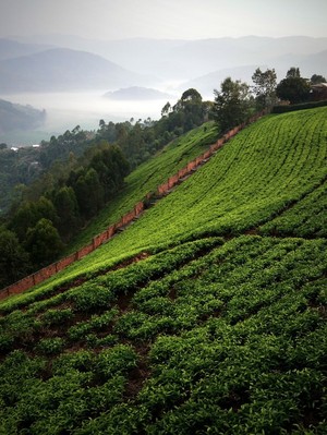  Kibuye, Rwanda