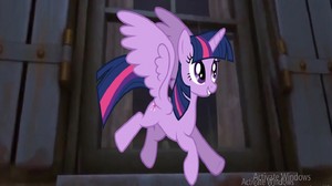  MLP Crossover 13