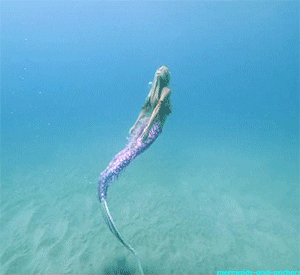  Mermaids