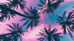  Palm Trees [Wallpaper]