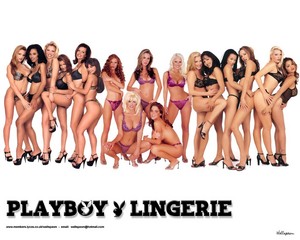  Playboy Lingerie