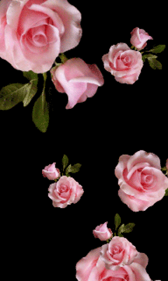  Розы For My Lovely Friend,Remy 🌷