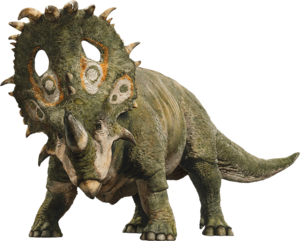  Sinoceratops