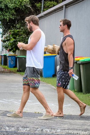  The Hemsworth Bros. (Aussies in LA)