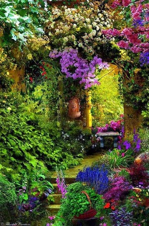  beautiful garden 🌻🌹