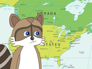 does rj accept canada to visit usa by nordicwiiu7 dc9rf2d fullview